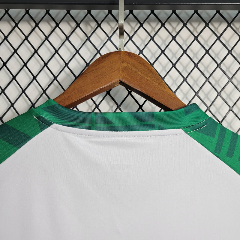 Camisa Palmeiras Treino II 23/24 - Puma Torcedor Masculina