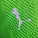 Camisa Palmeiras Goleiro 2023/24 - Puma Torcedor Masculina - Verde