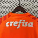 Camisa Palmeiras Goleiro 2024/25 - Puma Torcedor Masculina - Laranja